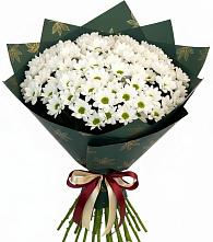 Букет цветов из:  Хризантемы #REPLACE_PRED# Виноградово