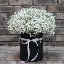 Цветочная композиция из Гипсофила в шляпной коробке #REPLACE_PRED# Виноградово