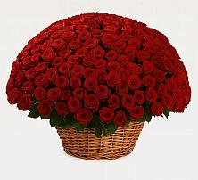 Премиум букет из: Розы в Виноградово