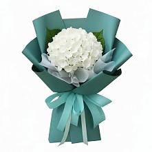 Букет цветов из:  Гортензия #REPLACE_PRED# Виноградово
